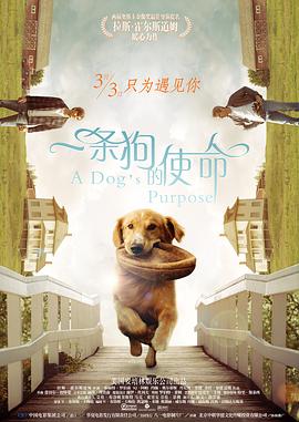 操你逼