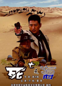 久久er视频
