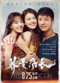 亚洲小视频在线观看