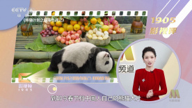 三级大乳奶理伦
